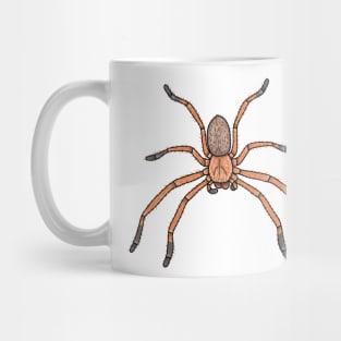 Delena Cancerides social huntsman Mug